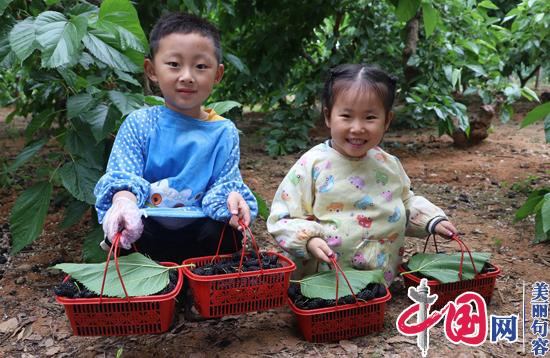 句容“小桑果”新花樣 創(chuàng  )意“桑果宴”笑迎八方客