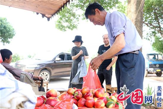 句容油桃等地產(chǎn)水果陸續登場(chǎng) 市民可大飽口福 