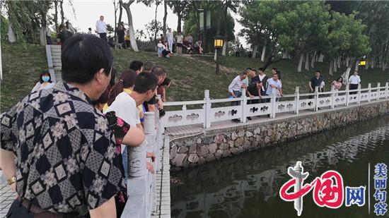 句容公園端午前夕現長(cháng)蛇 提醒市民警戒防傷害