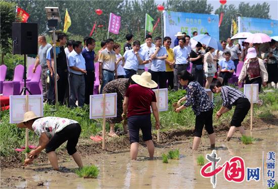 句容后白鎮：插秧摸魚(yú)比賽 體驗農耕樂(lè )趣