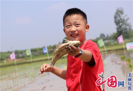 句容后白鎮：插秧摸魚(yú)比賽 體驗農耕樂(lè )趣