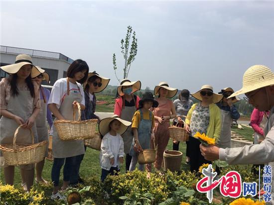 句容伏熱花海“花課堂”受追捧 小農活成孩子們的游戲