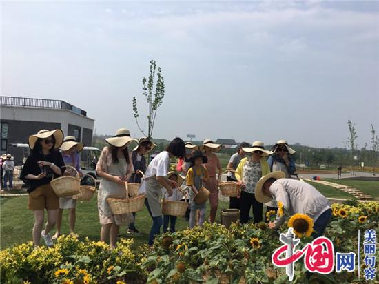 句容伏熱花海“花課堂”受追捧 小農活成孩子們的游戲