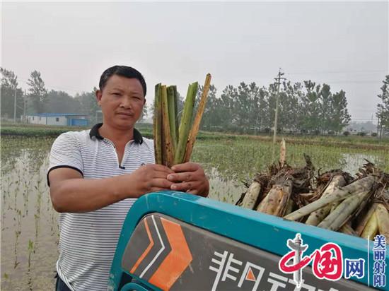 射陽(yáng)臨海農民宋從忠 走上水生蔬菜種植路