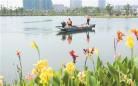 宿遷泗洪縣污水處理廠(chǎng)尾水濕地公園生機盎然