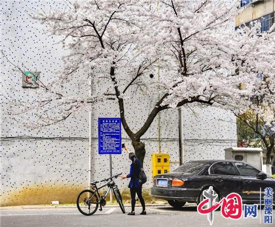 溧陽(yáng)市老舊小區改造項目入選“江蘇人居環(huán)境范例獎”