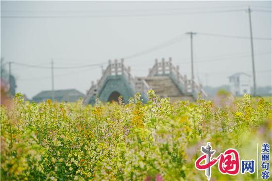 句容“夢(mèng)里水鄉”多彩油菜花海很驚艷 游客蜂擁看稀奇