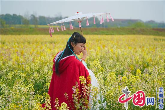 句容“夢(mèng)里水鄉”多彩油菜花海很驚艷 游客蜂擁看稀奇