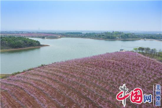 溧陽(yáng)桃農徐華東的農旅融合之道