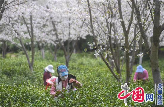 溧陽(yáng)市天目湖鎮：多措并舉 復工復產(chǎn)按下“快進(jìn)鍵”