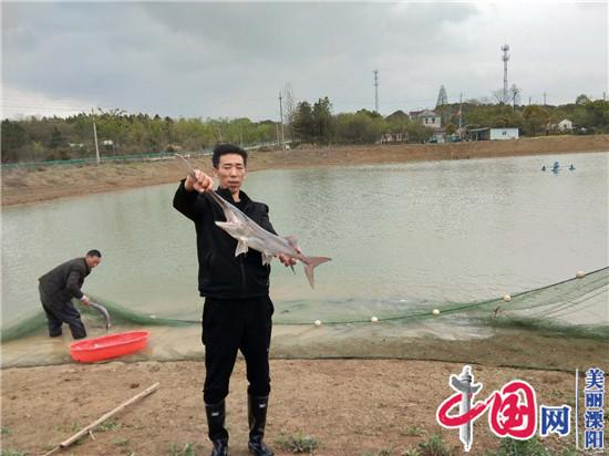 溧陽(yáng)何平：曾經(jīng)捧著(zhù)“鐵飯碗”   如今養殖“匙吻鱘”走上創(chuàng  )富路