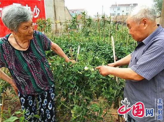 九旬老人不尋常 傳承家風(fēng)好榜樣——射陽(yáng)縣臨海鎮老黨員夏樹(shù)培傳承好家風(fēng)