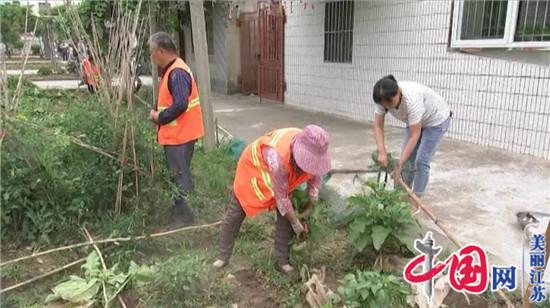 全國文明城市創(chuàng  )建：整治毀綠種菜 美化家園環(huán)境