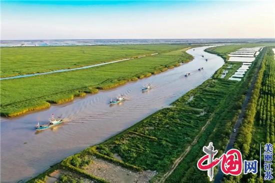 射陽(yáng)海通鎮做好生態(tài)文明建設“加減乘除”法