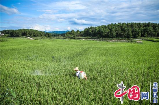 昆山這兩個(gè)集體獲全國先進(jìn)集體殊榮