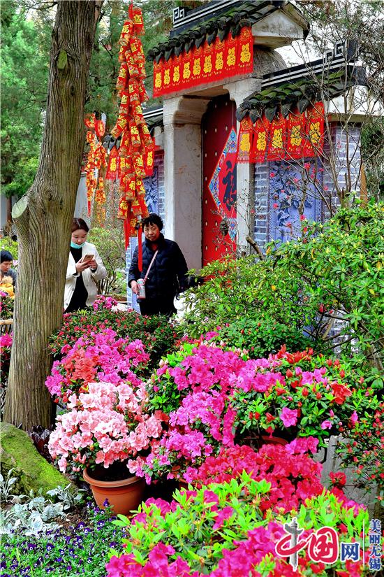 又見(jiàn)惠山杜鵑紅