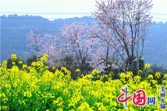 第四屆九龍灣花朝節暨花星球年輕藝術(shù)節今起動(dòng)