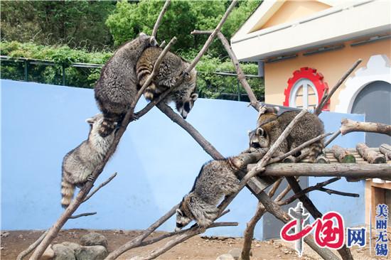 無(wú)錫動(dòng)物園春之童趣季“五一”歡樂(lè )加演