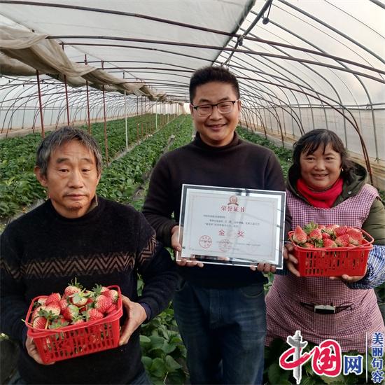 句容90后返鄉創(chuàng  )業(yè)大學(xué)生笪文杰 種植草莓連獲金獎