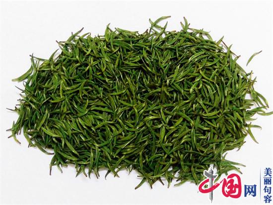 “茅山長(cháng)青”農產(chǎn)品地理標志保護工程正式啟動(dòng)