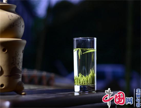 “茅山長(cháng)青”農產(chǎn)品地理標志保護工程正式啟動(dòng)