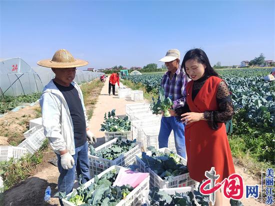 碧波蕩漾綻芳華——記江蘇省響水縣蔬菜生產(chǎn)技術(shù)指導站站長(cháng)徐亞蘭