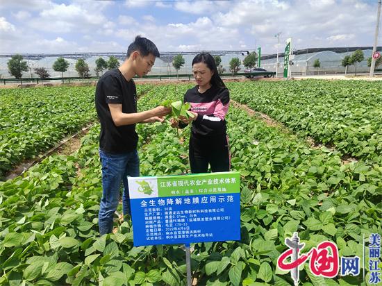 碧波蕩漾綻芳華——記江蘇省響水縣蔬菜生產(chǎn)技術(shù)指導站站長(cháng)徐亞蘭