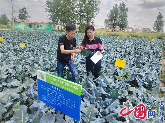 碧波蕩漾綻芳華——記江蘇省響水縣蔬菜生產(chǎn)技術(shù)指導站站長(cháng)徐亞蘭