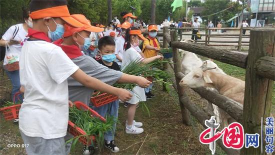 句容市崇明街道：親近大自然 關(guān)愛(ài)末成年人