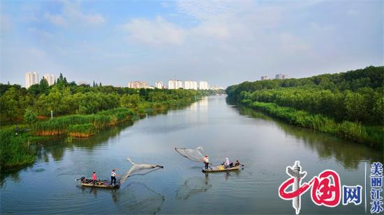 奮進(jìn)新金湖之三：杉青水秀荷醞香 水韻湖城底色足