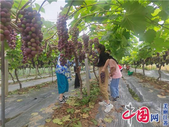 江蘇響水：社區志愿者送關(guān)愛(ài) 暑期留守兒童歡樂(lè )多