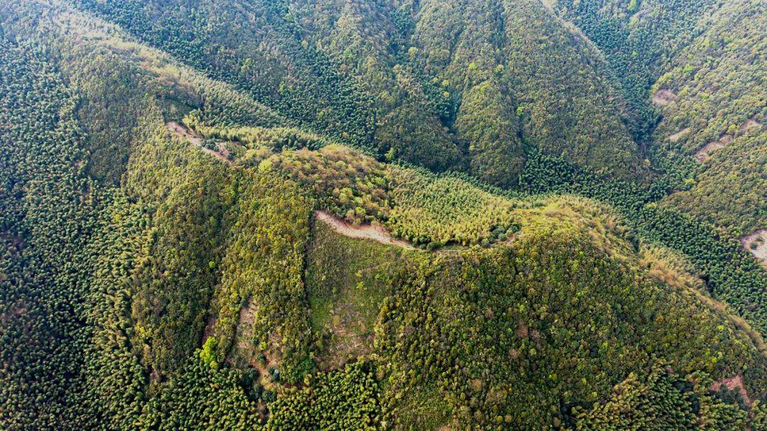 探秘陶野山徑 陽(yáng)羨100探路報告來(lái)了