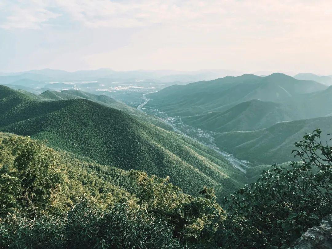 探秘陶野山徑 陽(yáng)羨100探路報告來(lái)了