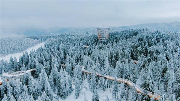 近十年最早降雪 重慶仙女山迎2023年冬第一場(chǎng)雪