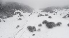 近十年最早降雪 重慶仙女山迎2023年冬第一場(chǎng)雪