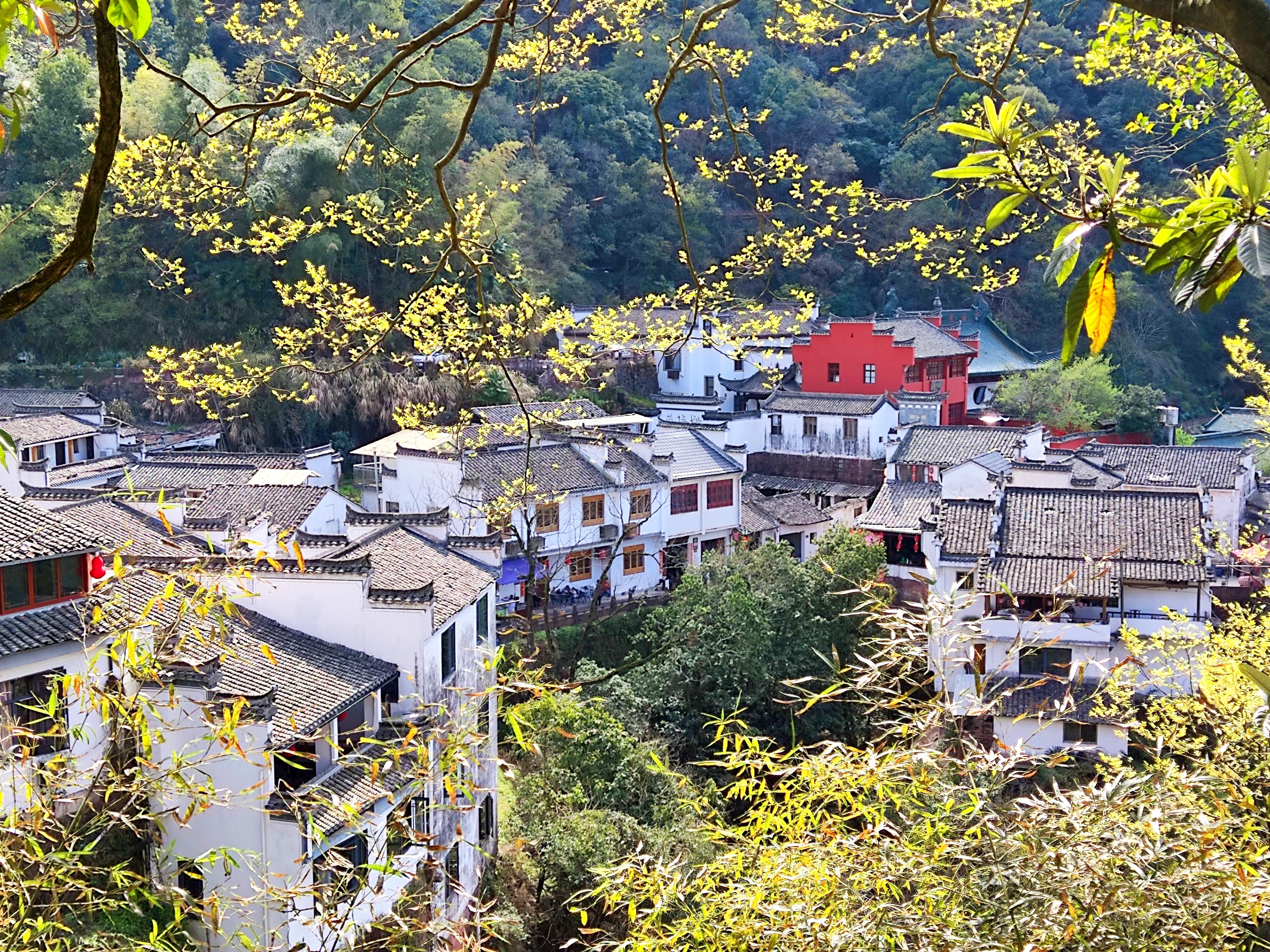 春游江淮請您來(lái)︱黃山：醉美風(fēng)光看不盡 古韻新風(fēng)品不完