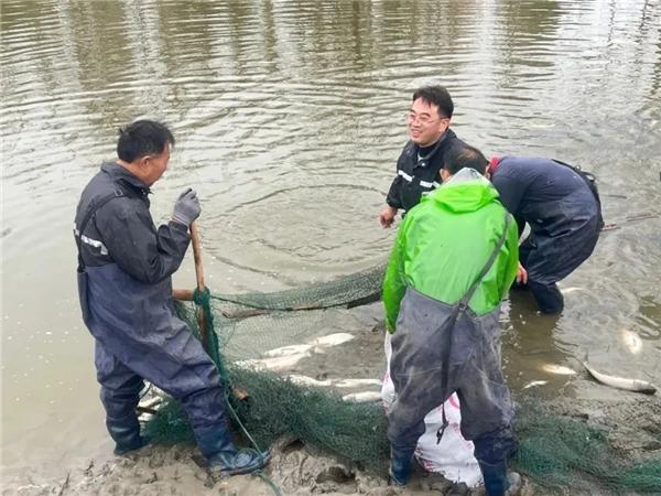 江蘇如皋下原鎮：握好黨建領(lǐng)航筆 繪就水美新畫(huà)卷