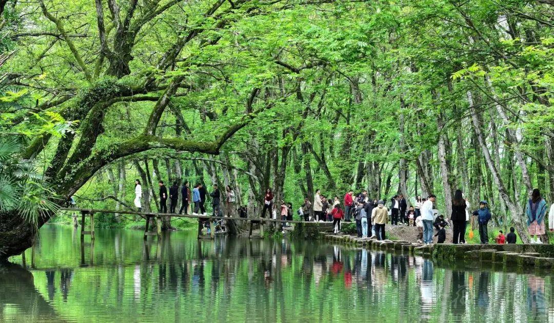 春游江淮 解鎖“美麗經(jīng)濟”的流量密碼