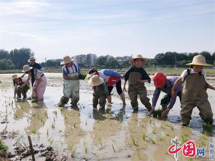 “粽”享野趣 共植美好丨宜興市紅十字會(huì )開(kāi)展端午節農耕文化體驗活動(dòng)