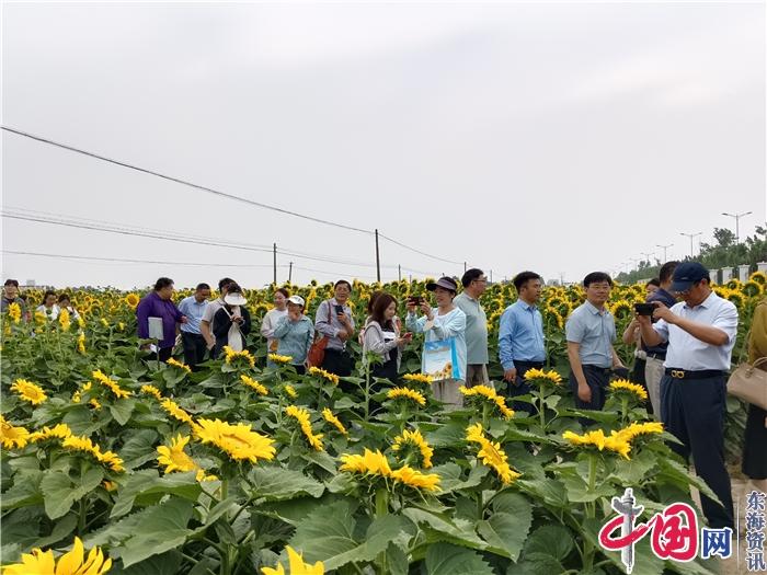 江蘇省第八屆觀(guān)賞葵花觀(guān)摩暨產(chǎn)業(yè)發(fā)展研討會(huì )在鹽城舉行