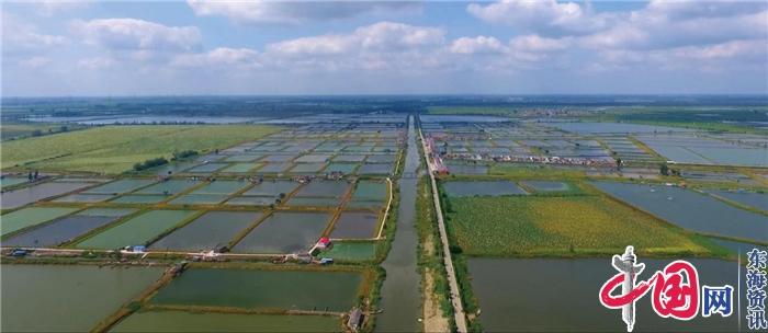 興化沙溝沙北村：發(fā)揮資源優(yōu)勢 助推強村富民