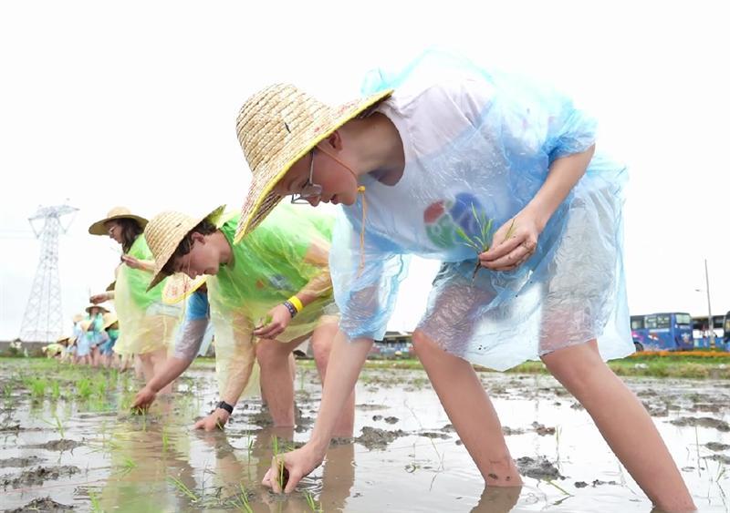 有朋自遠方來(lái)！中美青少年交流活動(dòng)在常州舉行