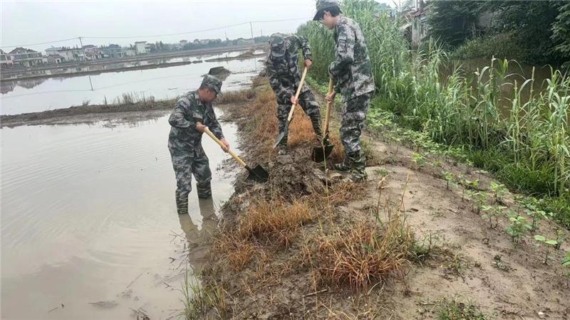 南通市十總鎮騎岸社區：基干民兵筑牢防汛“安全堤 ”