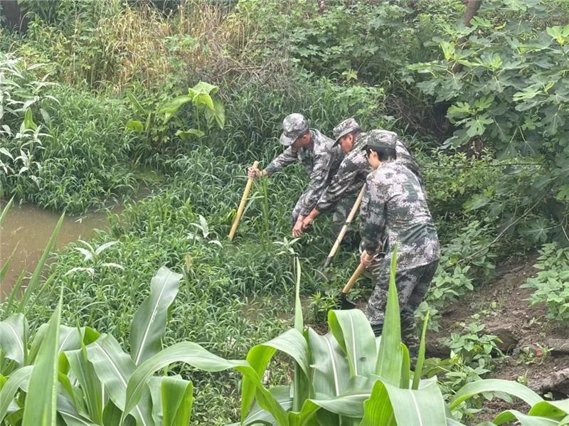 南通市十總鎮騎岸社區：基干民兵筑牢防汛“安全堤 ”