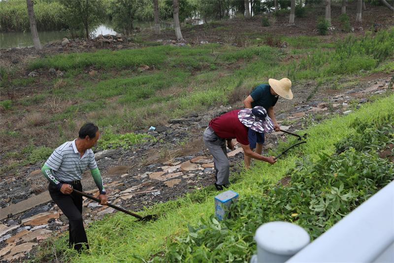 聞“汛”而動(dòng)丨寶應湖農場(chǎng)防汛隊入駐入江水道