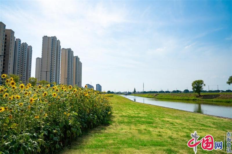 水清岸綠 繪出江南好風(fēng)光——蘇州北橋街道幸福河湖建設(shè)成效斐然