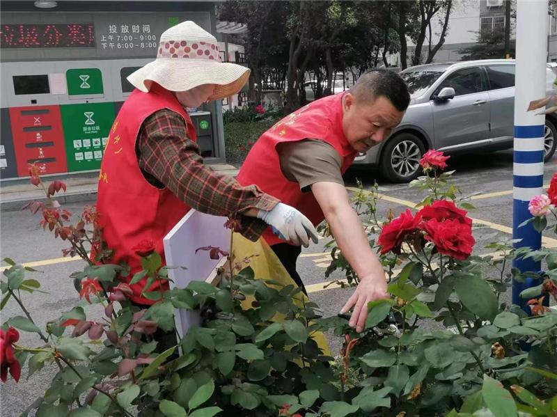 南通崇川：匯聚“網智”力量 擦亮民生幸福底色